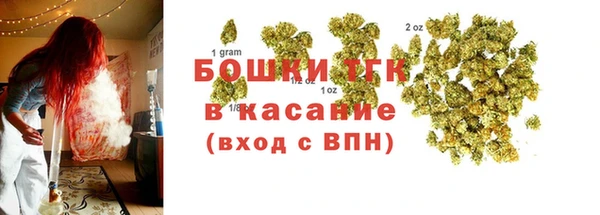 спиды Инсар
