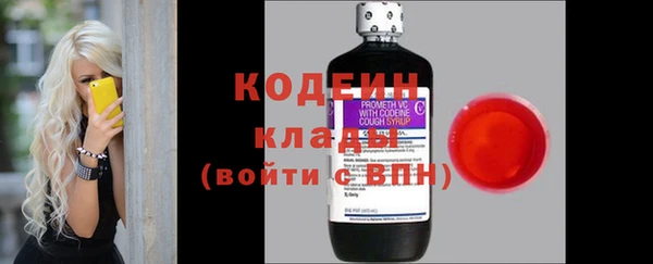 первитин Инта