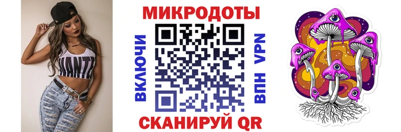 Псилоцибиновые грибы Psilocybe цена ОМГ ОМГ ссылки Россошь