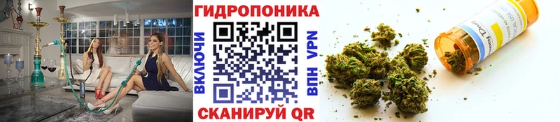 Конопля SATIVA & INDICA  Россошь 
